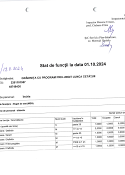 preview stat de functii